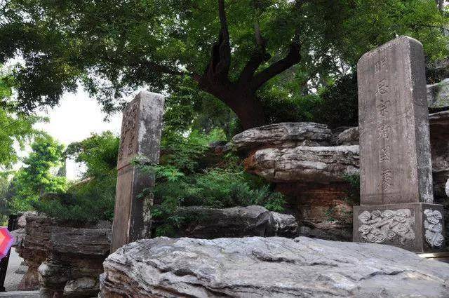 在老槐树处立有一块刻着“明思宗殉国处”的石碑